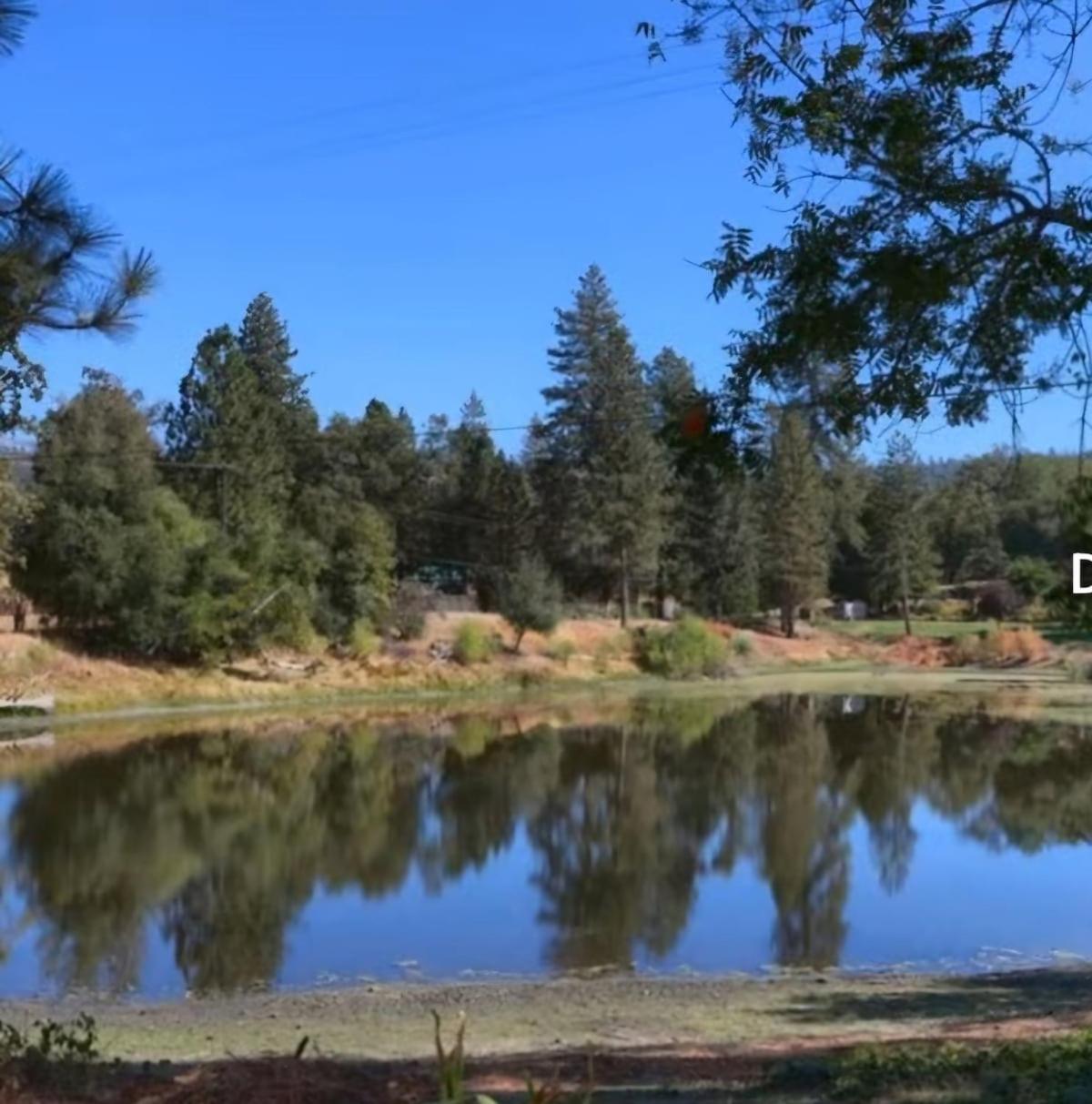 La Dolce Pond Retreat In Yosemite * Oakhurst